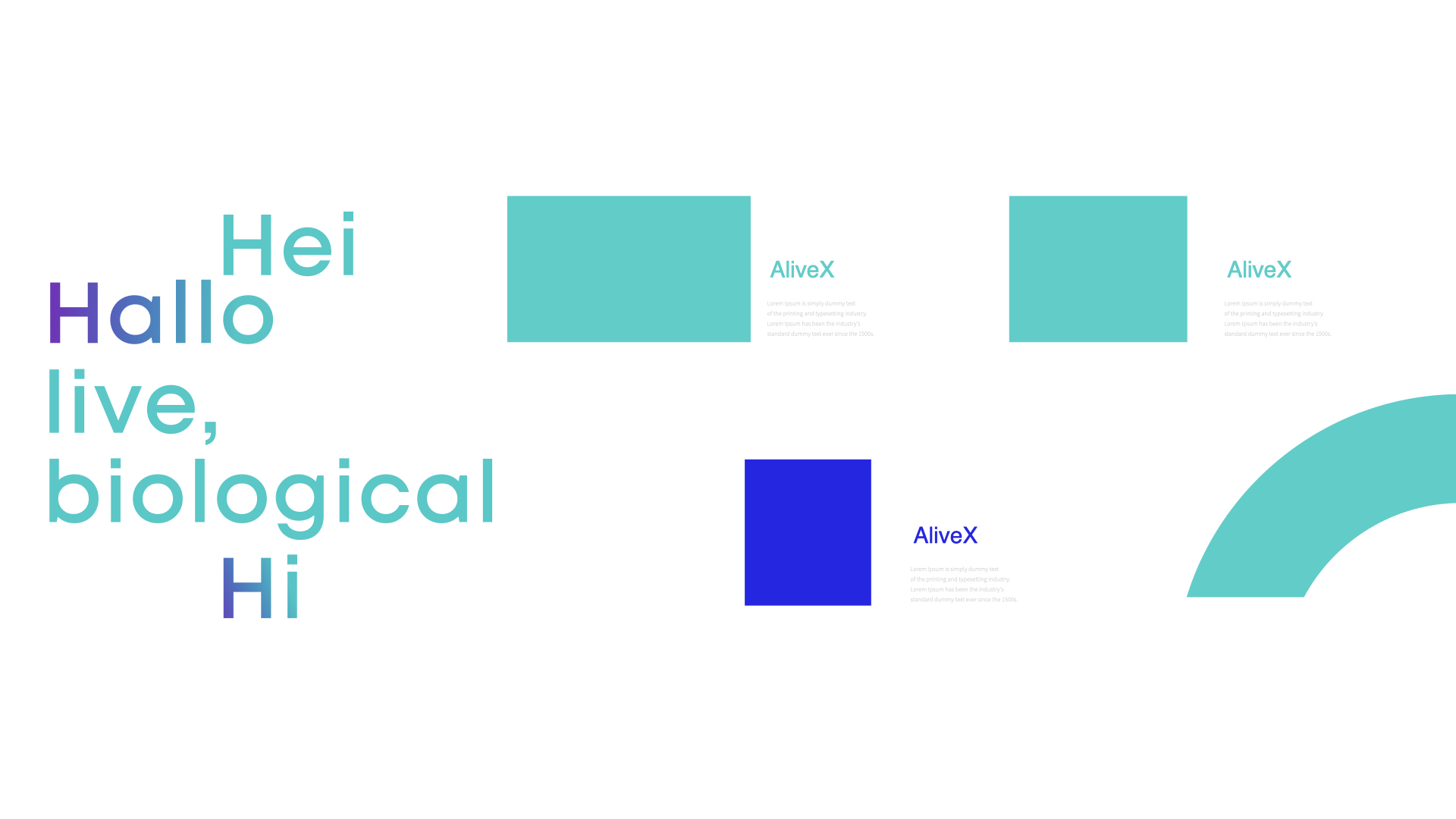 生物科技品牌vi設(shè)計(jì).jpg 生物科技品牌vi設(shè)計(jì).jpg