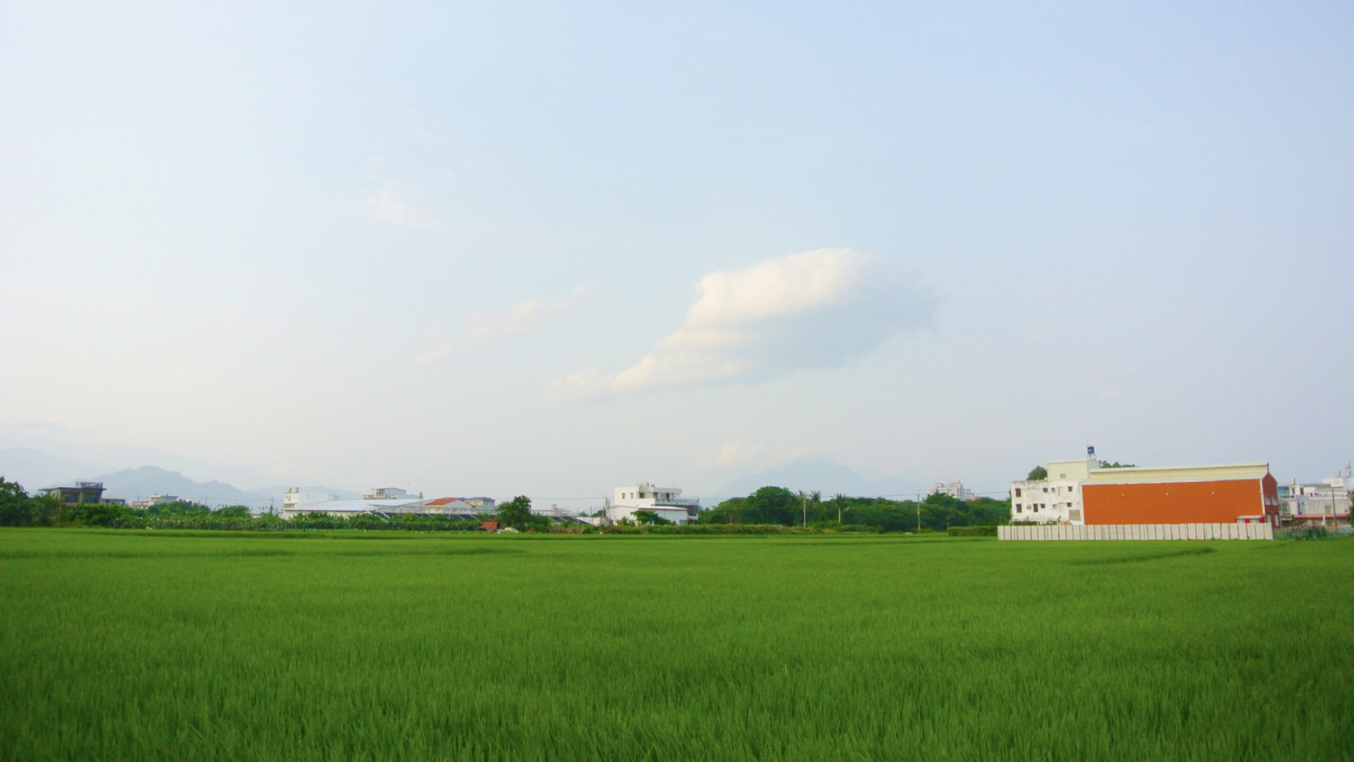 土特產(chǎn)全案策劃.jpg 土特產(chǎn)全案策劃.jpg