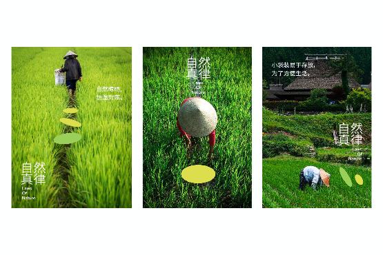 VI設(shè)計(jì)在農(nóng)產(chǎn)品品牌中的角色-傳遞自然與健康的視覺語(yǔ)言